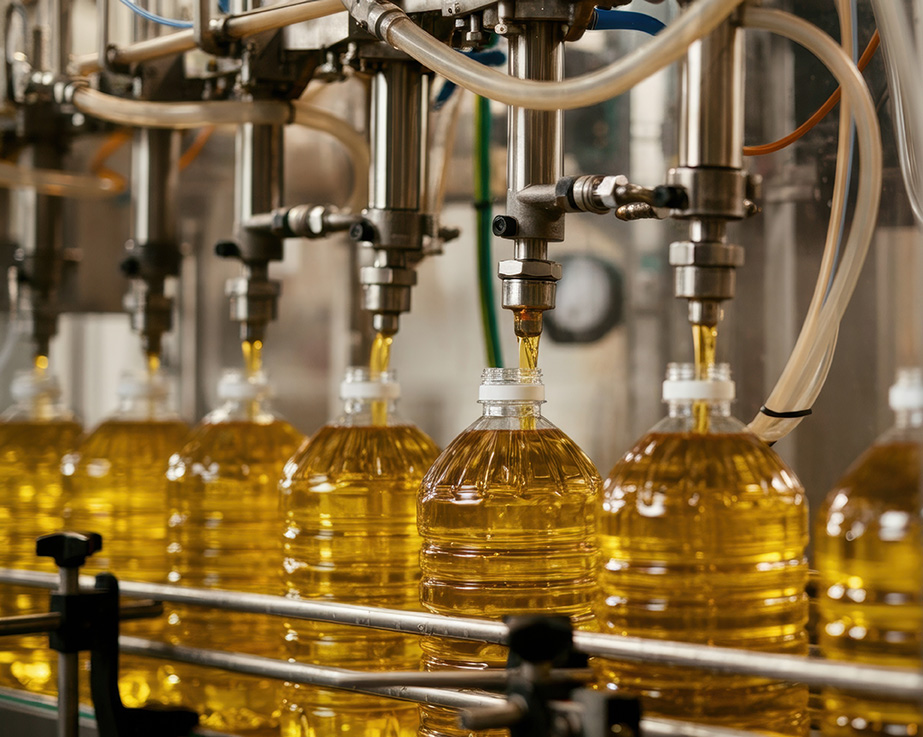 Pumpen für Speiseöl. CTX I Industrieserie