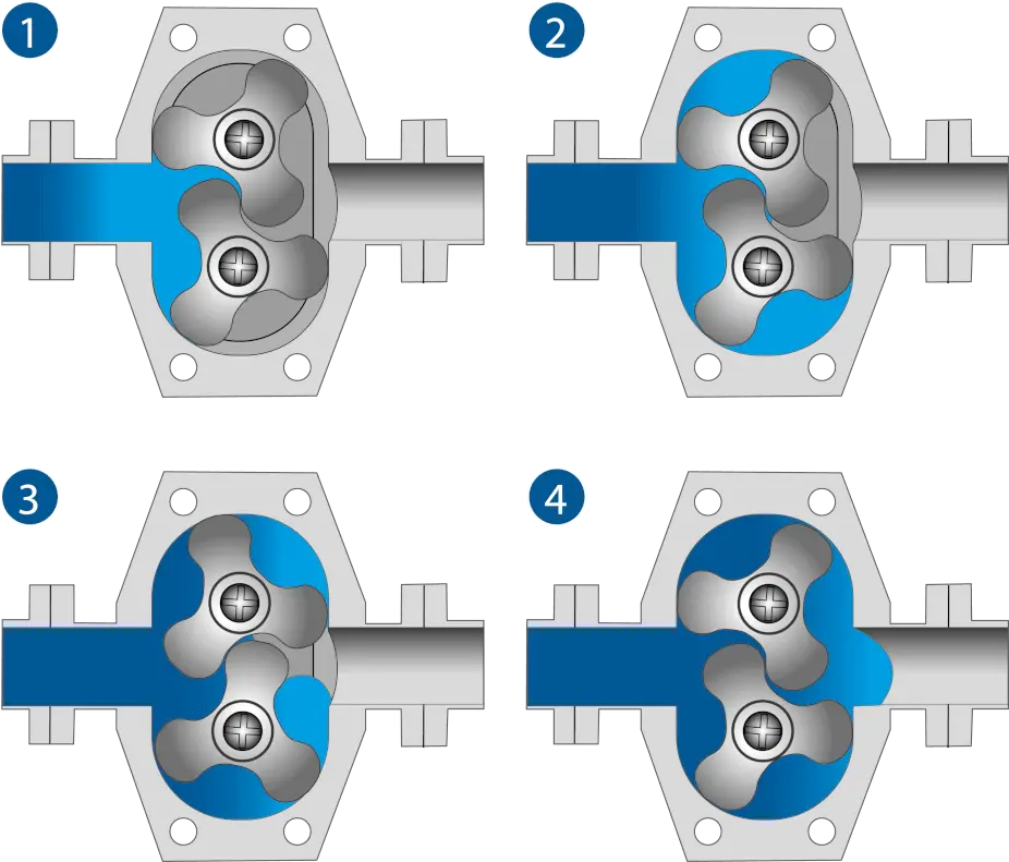 Lobe pumps. Working principle
