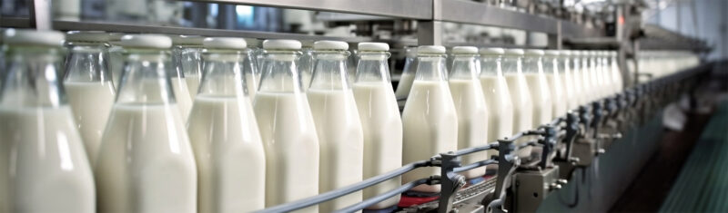 Food Pumps and Equipment for the Food Industry