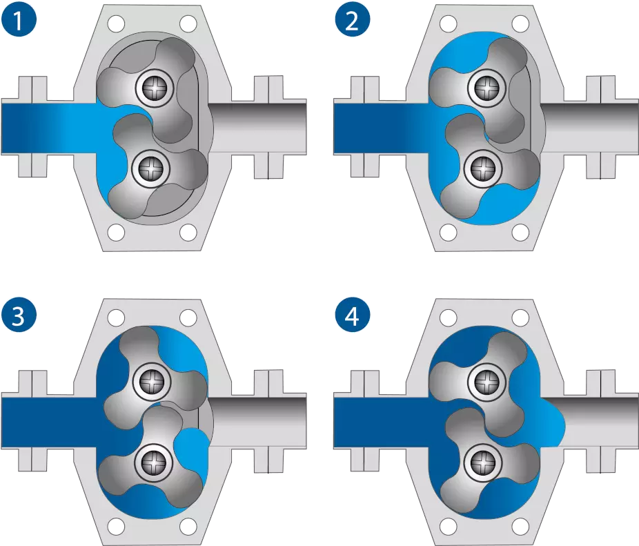 LPX lobe pumps operating principle