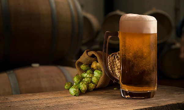 Hygienische Doppelschneckenpumpen für Bier