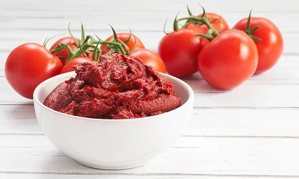 Hygienische Doppelschneckenpumpen für Tomatenpüree