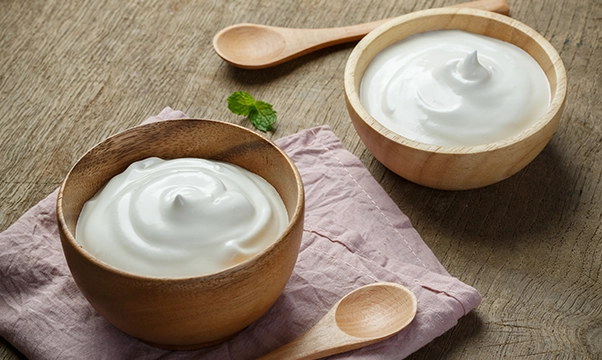 Hygienische Doppelschneckenpumpen für Joghurt