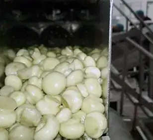 food-grade pump for gentle mushroom transfer
