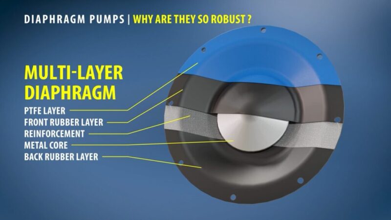 Cross-section of an AODD pump diaphragm