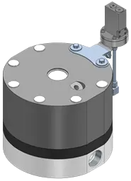 Smorzatori di pulsazioni | Opzioni & Accessori | Smorzatore di pulsazioni con dispositivo di controllo