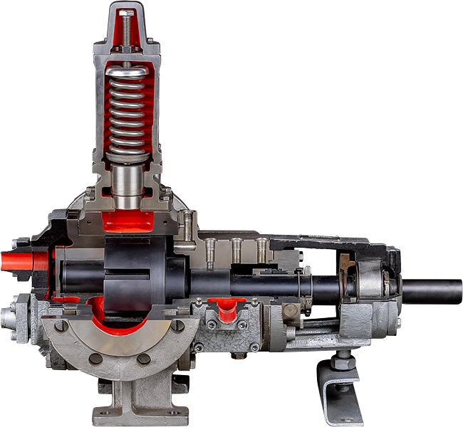 Przekrój pompy zębatej i uszczelnienia wału