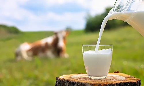 pompa do mleka - pompowanie mleka